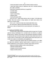 Diplomdarbs 'Uzņēmuma kreditēšanas iespējas Latvijā: a/s "Valmieras stikla šķiedra" analīze', 29.