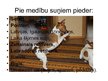 Prezentācija 'Medību suņi', 9.