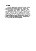 Referāts 'Dienvidamerikas mitoloģija', 2.