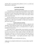 Referāts 'Pašvaldības un Ministru kabinets', 5.