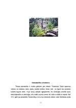 Referāts 'Čehijas ekonomiskais raksturojums', 11.