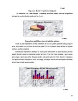 Diplomdarbs 'Starpprofesionālā sadarbība rehabilitācijas centra "Bērnu oāze" pusaudžu iekļauš', 60.