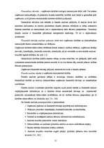 Diplomdarbs 'SIA "LDZ Cargo" finanšu stāvokļa analīze un tā uzlabošanas rezerves', 31.