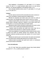 Diplomdarbs 'SIA "LDZ Cargo" finanšu stāvokļa analīze un tā uzlabošanas rezerves', 48.