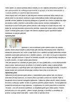 Referāts 'Griesti', 5.