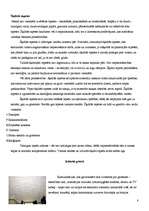 Referāts 'Griesti', 8.