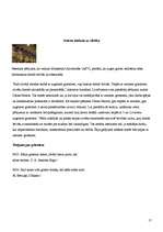 Referāts 'Griesti', 17.