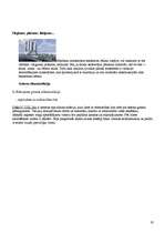 Referāts 'Griesti', 19.