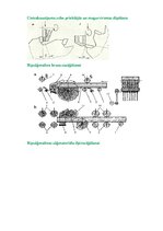 Konspekts 'Ripzāģmašīnas, zāģripas un slīpripas', 4.