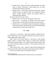 Referāts 'Kontroles būtība, nozīme un nepieciešamība. Audits un revīzija, to atšķirīgās pa', 12.