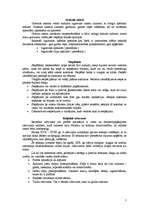 Referāts 'Izšūšanas vēsture un tehnikas', 5.