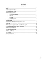 Referāts 'Brīvā stila slēpošana', 2.