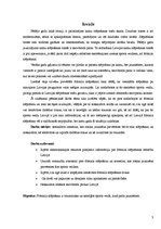 Referāts 'Brīvā stila slēpošana', 3.