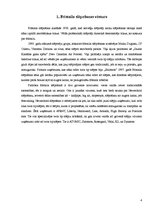 Referāts 'Brīvā stila slēpošana', 4.