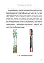 Referāts 'Brīvā stila slēpošana', 20.