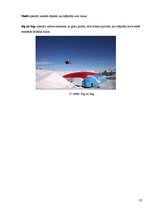 Referāts 'Brīvā stila slēpošana', 23.