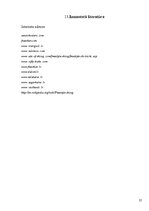 Referāts 'Brīvā stila slēpošana', 25.