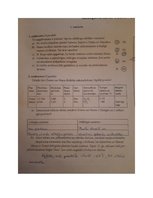 Paraugs 'Visums un tā pētīšana darba lapas atbildes', 1.