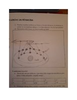 Paraugs 'Visums un tā pētīšana darba lapas atbildes', 2.
