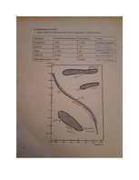 Paraugs 'Visums un tā pētīšana darba lapas atbildes', 3.