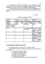 Biznesa plāns 'SIA "XXX" biznesa plāns ', 7.