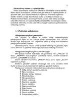 Biznesa plāns 'SIA "XXX" biznesa plāns ', 11.