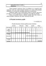 Biznesa plāns 'SIA "XXX" biznesa plāns ', 19.