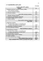 Biznesa plāns 'SIA "XXX" biznesa plāns ', 22.