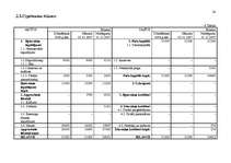 Biznesa plāns 'SIA "XXX" biznesa plāns ', 24.