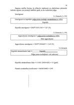 Biznesa plāns 'SIA "XXX" biznesa plāns ', 26.