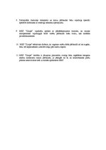 Prakses atskaite 'Latvijas - Krievijas robežas muitas kontoles punkta Ludzas rajonā darbības pilnv', 19.