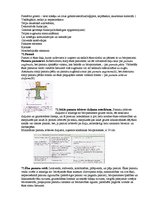 Konspekts 'Arhitektūras projektēšanas pamatkurss - atbildes uz 75 teorijas eksāmena jautāju', 34.