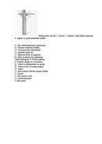 Konspekts 'Arhitektūras projektēšanas pamatkurss - atbildes uz 75 teorijas eksāmena jautāju', 36.