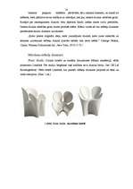 Referāts 'Atsevišķu interjeru veidojošo elementu kopums - mēbeles', 20.