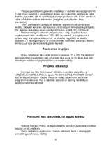 Referāts 'Biznesa plāns', 8.