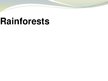 Prezentācija 'Rainforests', 1.