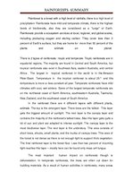 Prezentācija 'Rainforests', 19.