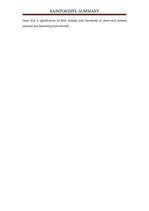 Prezentācija 'Rainforests', 20.