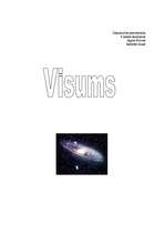 Referāts 'Visums', 1.