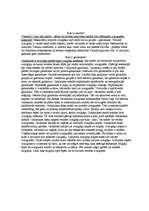 Referāts 'Visums', 2.