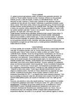 Referāts 'Visums', 3.