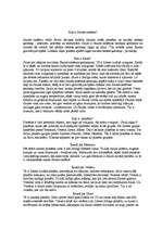 Referāts 'Visums', 5.