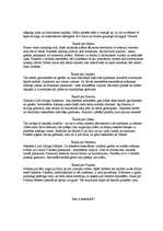 Referāts 'Visums', 6.