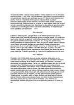 Referāts 'Visums', 7.