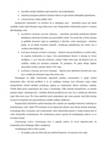 Referāts 'Latvijas valdības esošie un perspektīvie pasākumi eksporta atbalstam', 4.