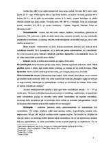 Referāts 'Latvijas valsts mežsaimniecības raksturojums', 8.