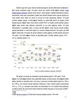 Referāts 'Latvijas valsts mežsaimniecības raksturojums', 11.