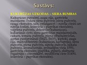 Prezentācija 'Pārtikas produkta sastāva analīze', 3.