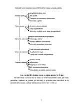 Referāts 'Rīgas brīvosta', 5.