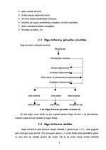 Referāts 'Rīgas brīvosta', 8.